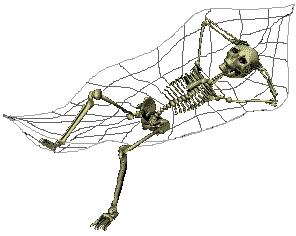 skeleton vibing in a spiderweb hammock